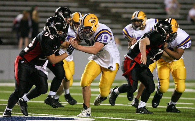 气质鲜明的 气质鲜明的